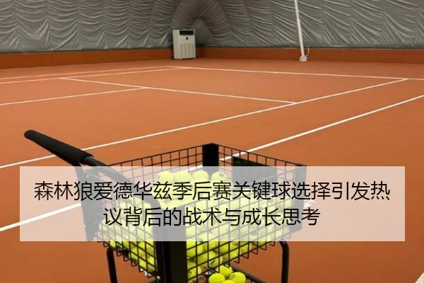 森林狼爱德华兹季后赛关键球选择引发热议背后的战术与成长思考