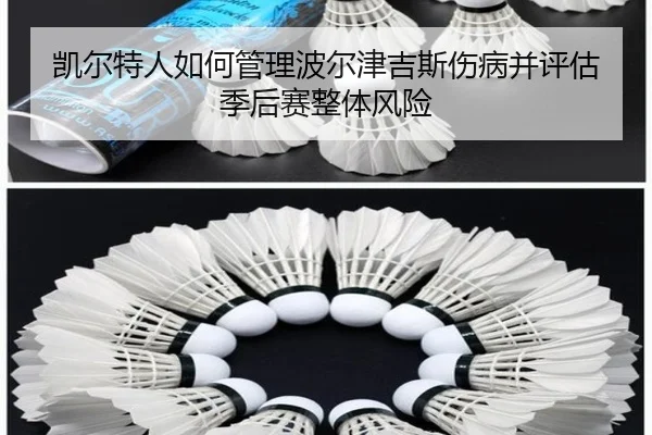 凯尔特人如何管理波尔津吉斯伤病并评估季后赛整体风险